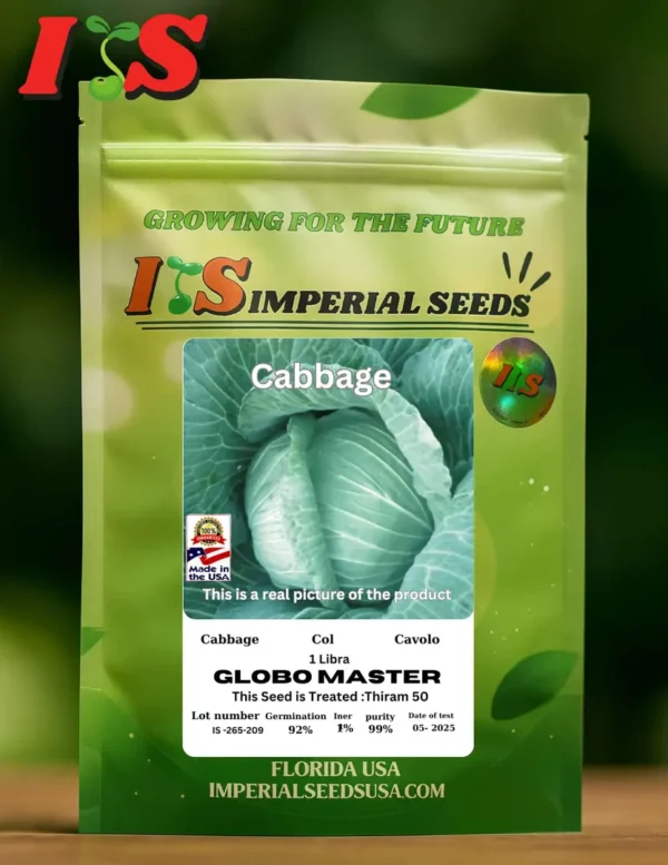 Cabbage Globo Máster Repollo Globomaster