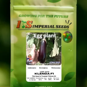 Berenjena Morada Klenda F1