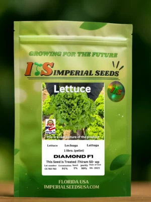 Lechuga Diamante Híbrida