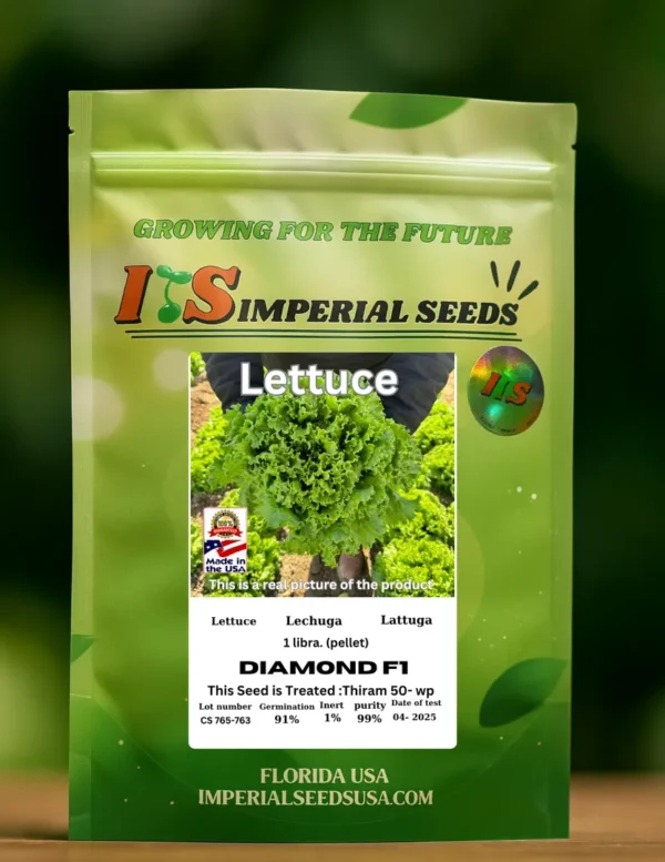 Lechuga Diamante Híbrida