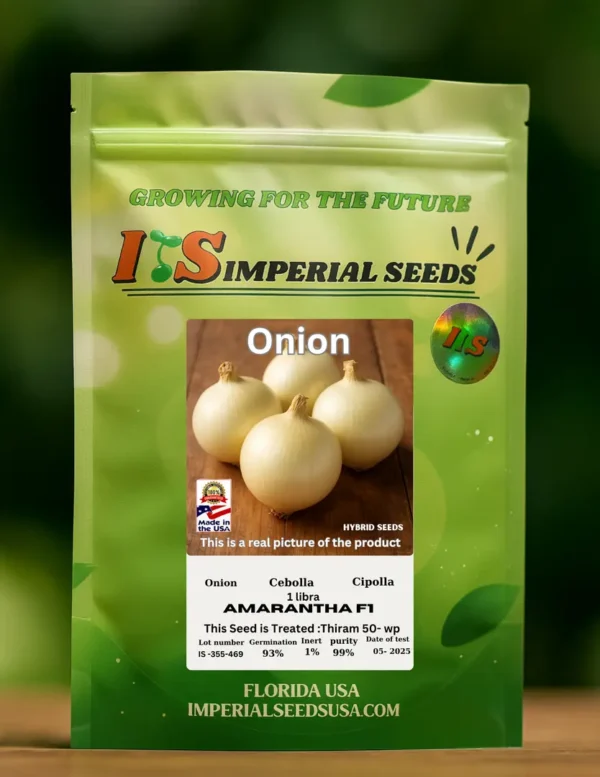 Onion Amarantha F1 Cebolla Amarantha F1