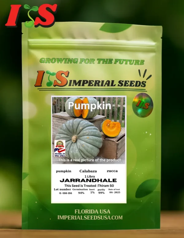 Pumpkin Jarrandhale Calabaza Jarrandhale