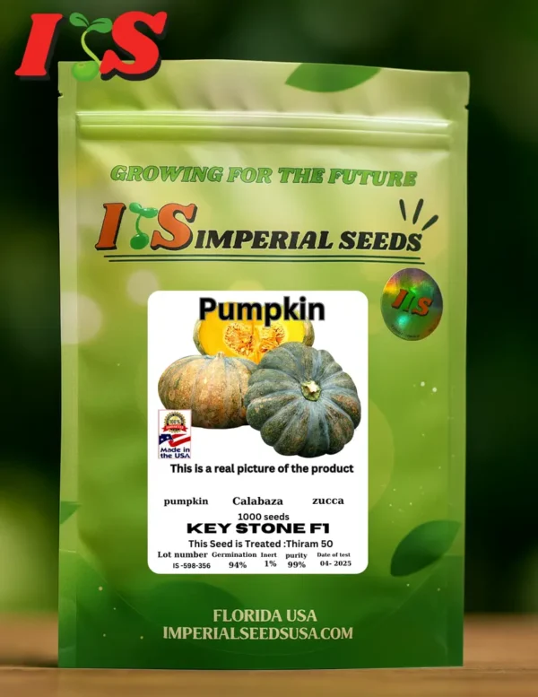 Pumpkin Key Stone F1 Calabaza Key Stone F1