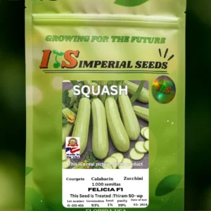 Calabacín Felicia F1