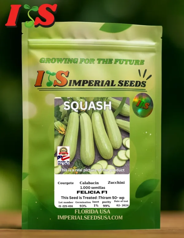 Calabacín Felicia F1