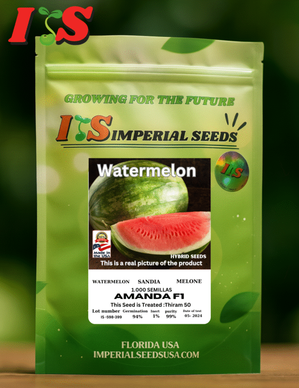 amanda Sandía Amanda F1