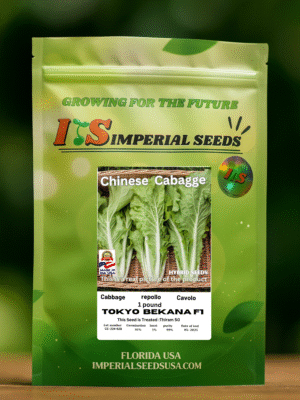 tokio bekana f1 Tokio Bekana F1