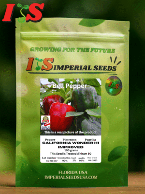 Pimentón California Wonder H1 Improved