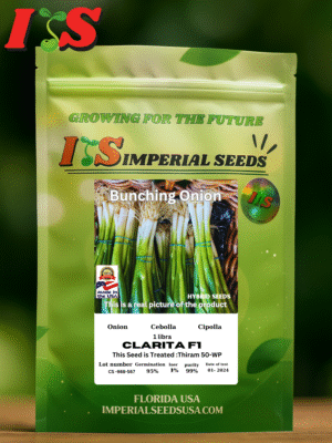 Cebollín Clarita F1