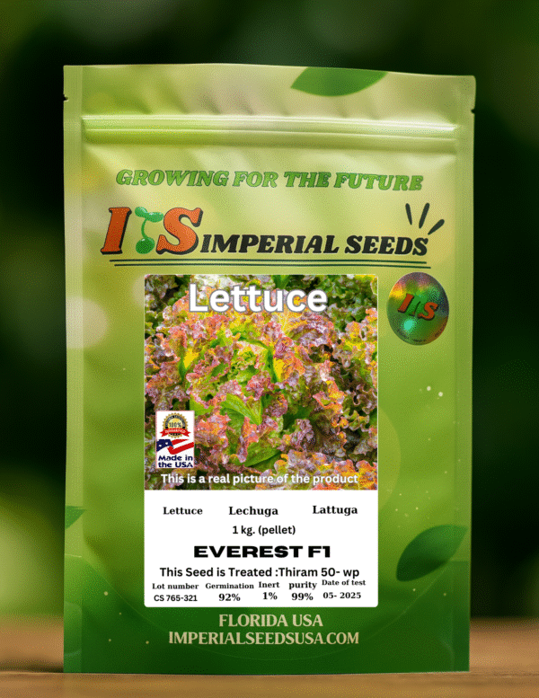 everest f1 Lechuga Hibrida Everest F1 (Batavia Morada)