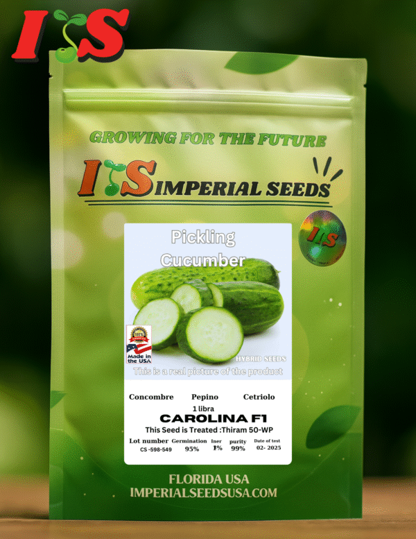 pepinillo carolina Pepino Pickles Carolina F1