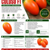 Tomate Hibrido Semi determinado tipo roma